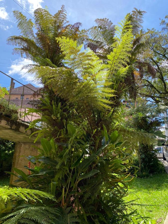 Casa Da Vo Diva No Centro De Gramado Villa Exterior foto