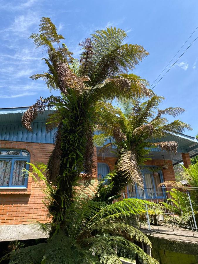 Casa Da Vo Diva No Centro De Gramado Villa Exterior foto